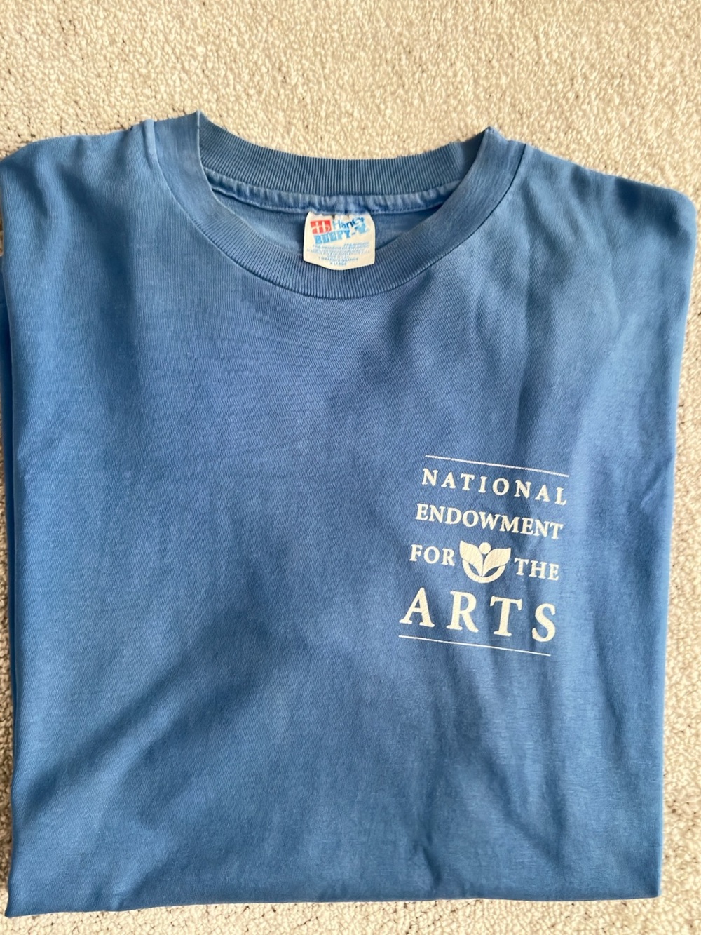 Hanes Beefy-T National Endowment for the Arts Graphic T-Shirt Blue Men’s XL